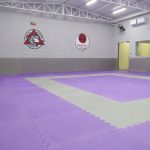 Foto do Mugen Dojo