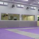 Foto do Mugen Dojo